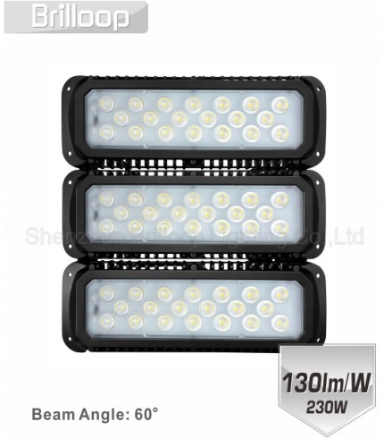 M17: 230W Modular Floodlight